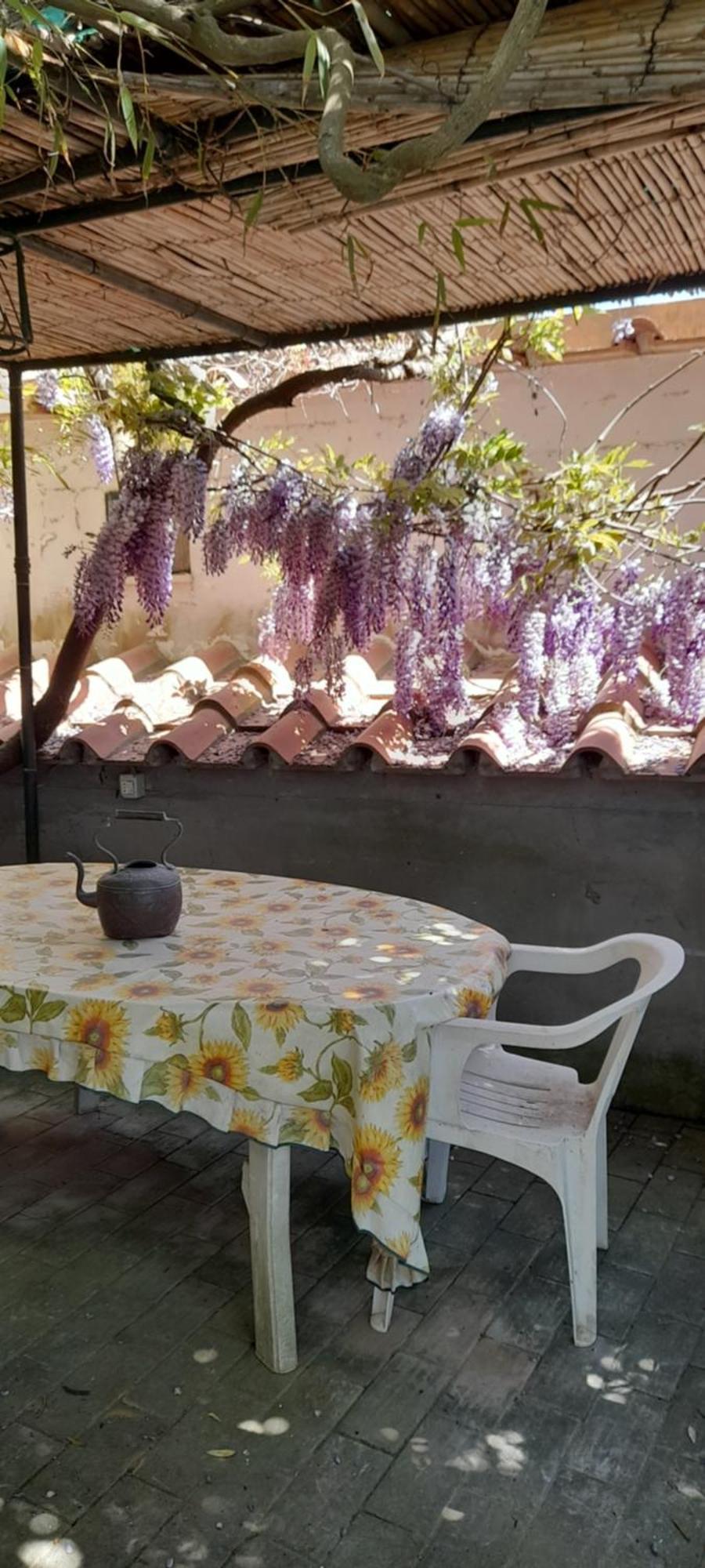 Villetta Rosetta Capri Bagian luar foto