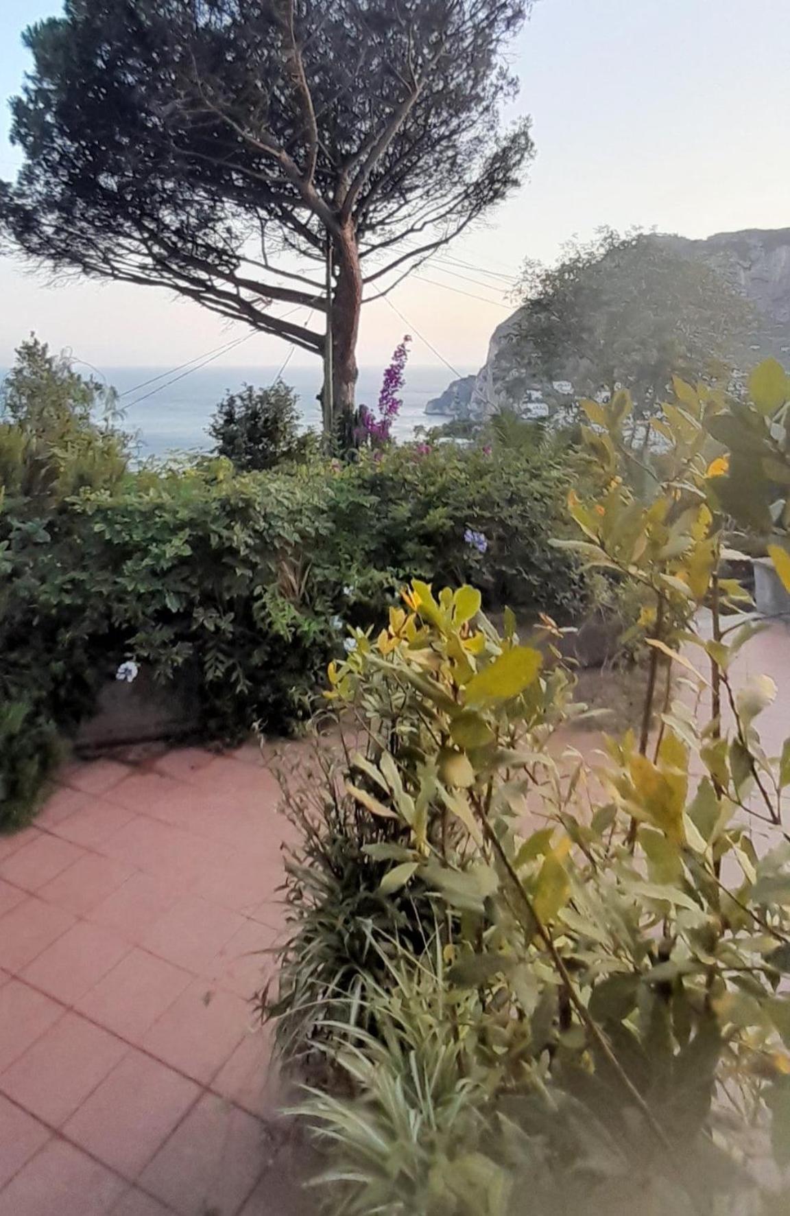 Villetta Rosetta Capri Bagian luar foto