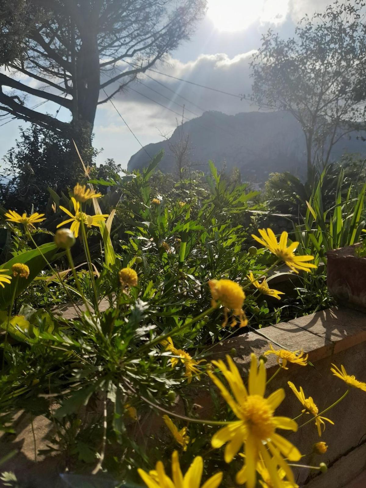 Villetta Rosetta Capri Bagian luar foto