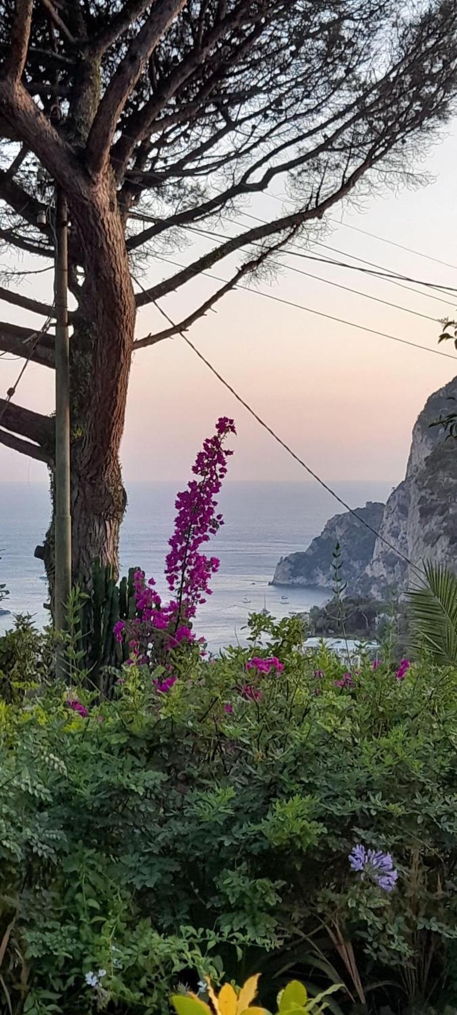 Villetta Rosetta Capri Bagian luar foto