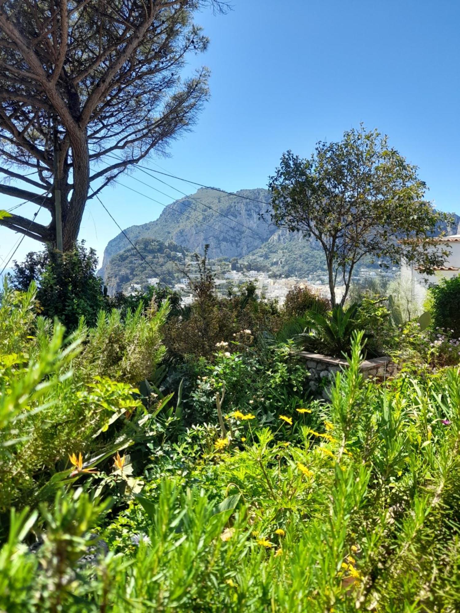Villetta Rosetta Capri Bagian luar foto