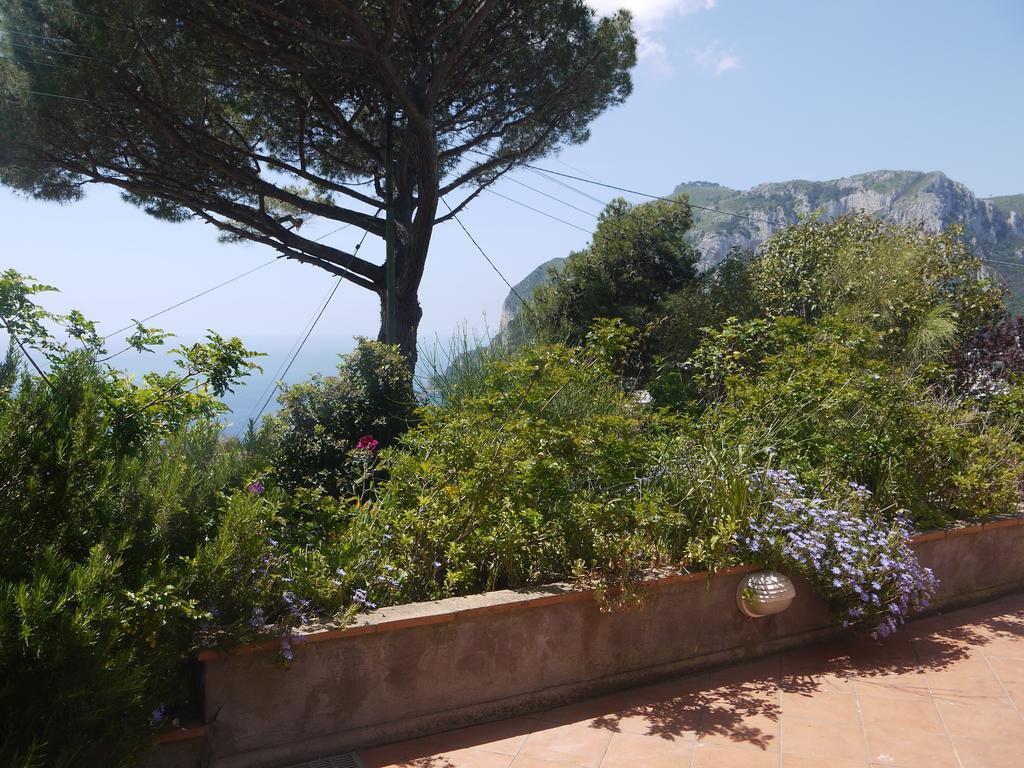 Villetta Rosetta Capri Bagian luar foto