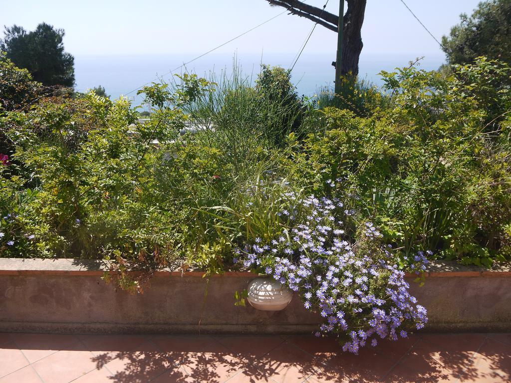 Villetta Rosetta Capri Bagian luar foto