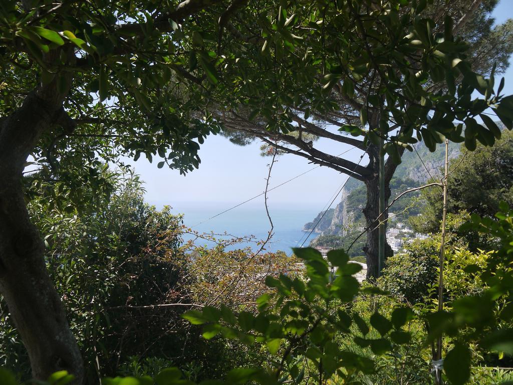 Villetta Rosetta Capri Bagian luar foto